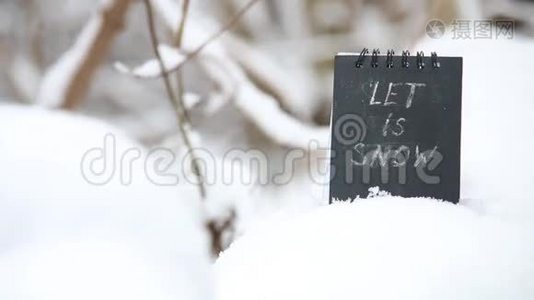 让我们来谈谈雪的概念视频