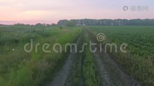 空中景观沿着乡村道路穿过种植的农田视频