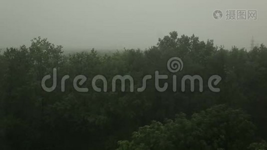 大雨和风摇动着树。 飓风。 很强的夏季风暴。视频