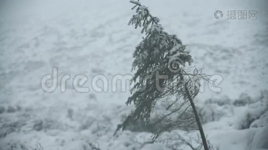 这`冬天下雪的山景视频