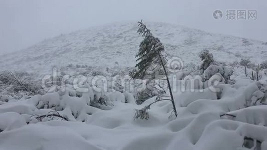 这`冬天下雪的山景视频