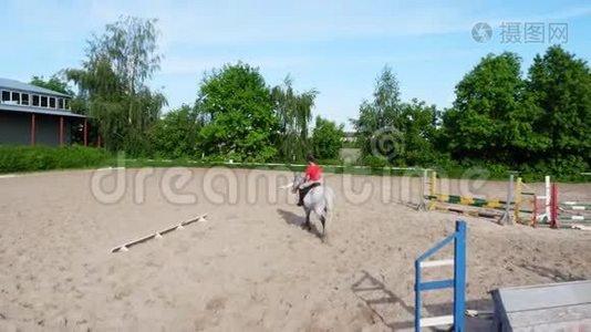 夏天，户外，骑童，骑骑师骑着纯种的美丽的白种马，马，在训练沙场视频