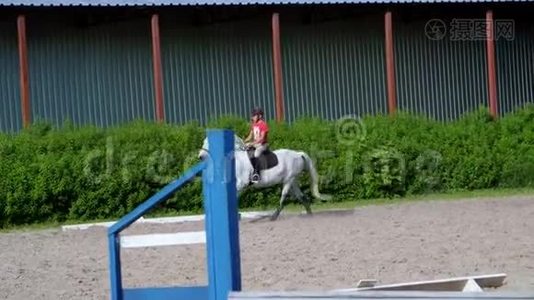 夏天，户外，骑童，骑骑师骑着纯种的美丽的白种马，马，在训练沙场视频