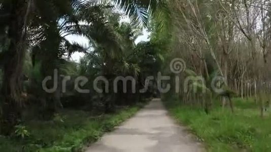通过热带森林行动摄像机拍摄的前方道路景观视频