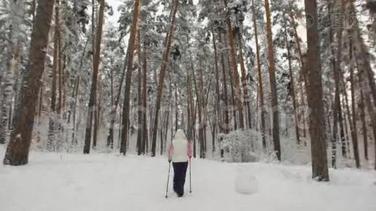 在树林里的雪道上行走的一位老年妇女的后景。 现代体育形式视频