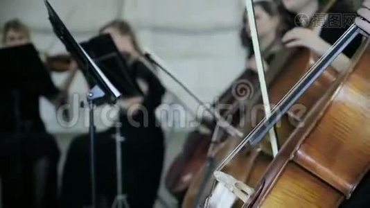女孩子在管弦乐队中演奏中提琴视频