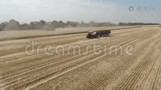 拖拉机在田里。收获谷物的农业机械。天线视频