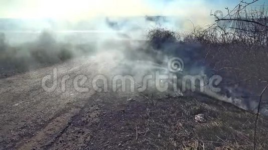 一个大的火焰破坏了道路上干枯的草和树枝。视频