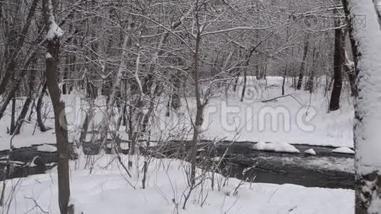 山泉流在白雪覆盖的森林里，泉水泛滥的标准。视频