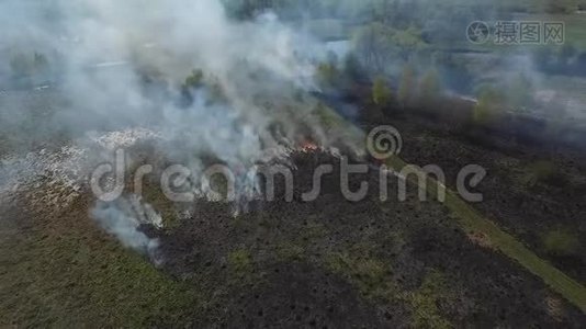 烧焦的干草。 草地上着火了。视频