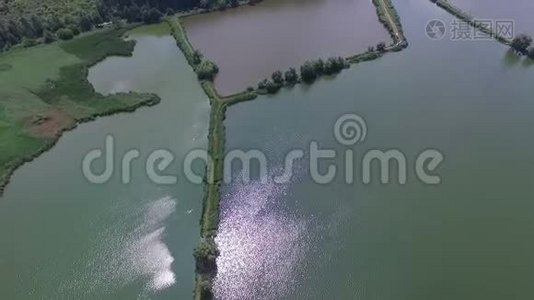 一张笔直的芦苇床，上面有树木、草甚至道路视频