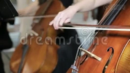 管弦乐队中小提琴的特写镜头视频