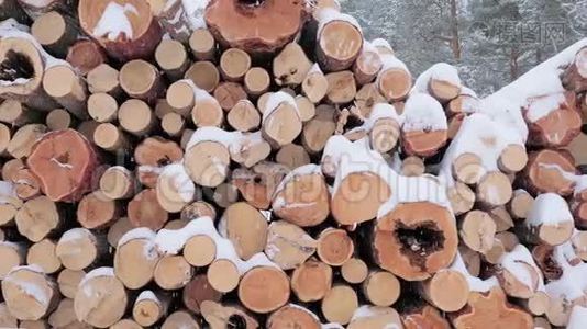 冬林中的一大摞原木。视频