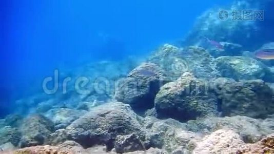 在爱琴海潜水水下射击视频