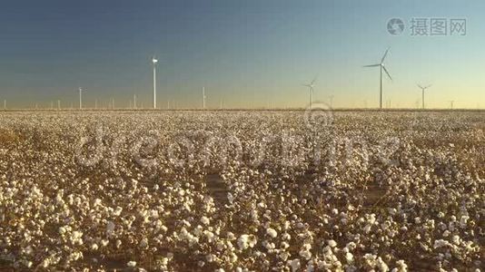 棉花种植绿色能源农场田间风力发电视频