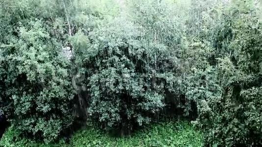 雨的鸟瞰图视频