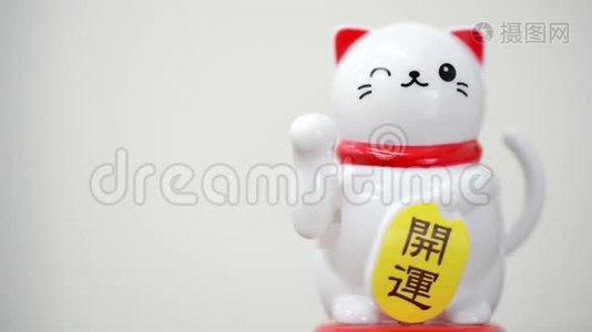 亚洲好运猫白色背景视频