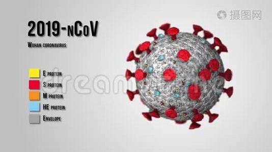 病原体爆发细菌和病毒，疾病引起微生物，如冠状病毒。 冠状病毒2019-n型视频