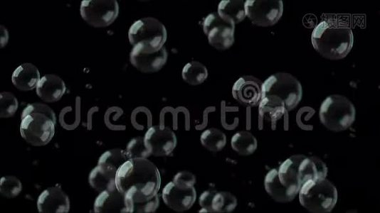 气泡循环漂浮在黑色上视频
