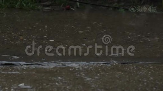 雨停了视频