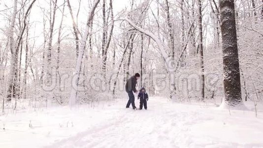 活跃父子在冬季公园玩耍..视频