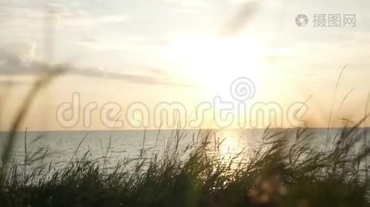 美丽的日落景观与海和草。 高清，1920x1080，慢动作..视频