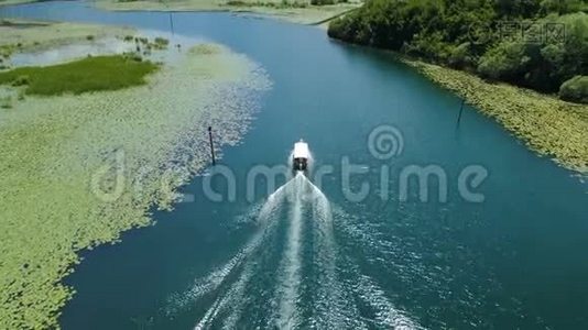 摩托艇漂浮在由睡莲构成的Crnojevica河上视频