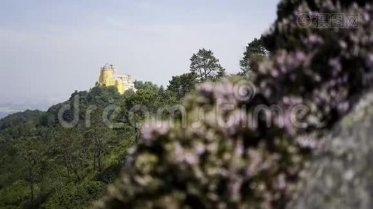 宫殿在满是森林的山上视频