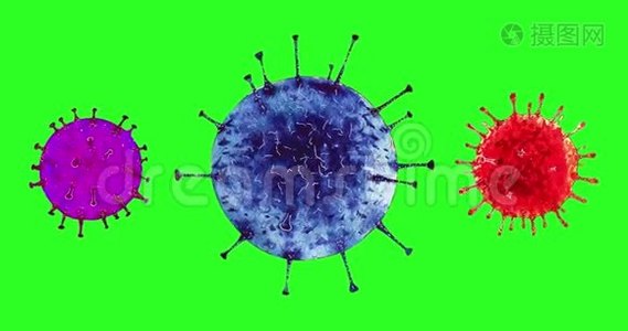 绿色背景下病毒的动画模型。 Covid19视频