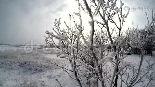 雪一月。视频