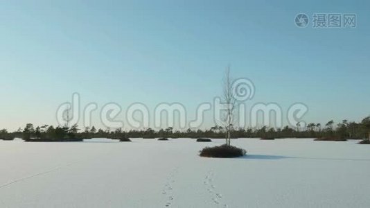 冬天冰冻的岛屿。 白天干净而寒冷。 光滑的娃娃射击视频