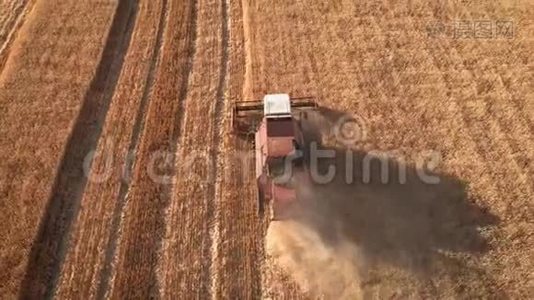 鸟瞰联合收割机收集小麦作物。 小麦收获剪.. 食品工业领域的组合视频