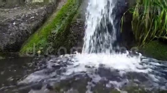 沃龙佐夫公园、克里米亚、阿卢普卡瀑布水缓动高清视频视频