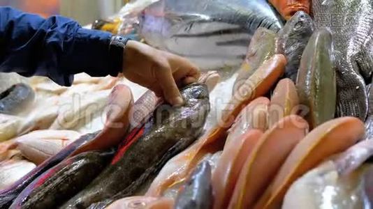 新鲜海鲜、不同海冰鱼于街市集卖品视频