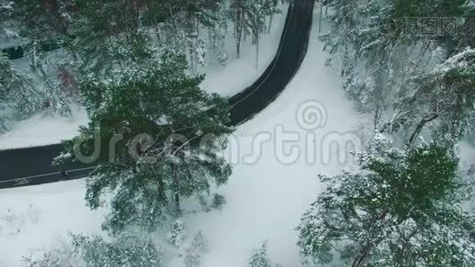 汽车在冬天的雪松林中行驶，空中无人机镜头视频