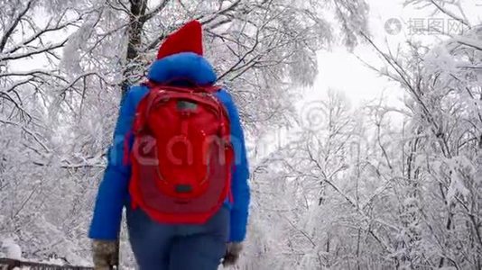 女人沿着一条小路走在美丽的冬天白雪覆盖的风景中。 晴朗的晴朗的霜冻天气。视频