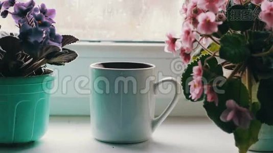 沸水倒在杯子里。一杯咖啡、茶、热饮料放在窗台上，旁边是一朵美丽的家花。视频