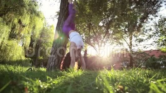 运动的女人做瑜伽运动，倒立在树旁。视频