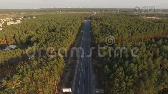 柏油路在松林有一辆车。 空中录像视频