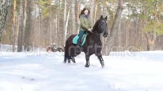 春天的雪林。骑马的女人视频