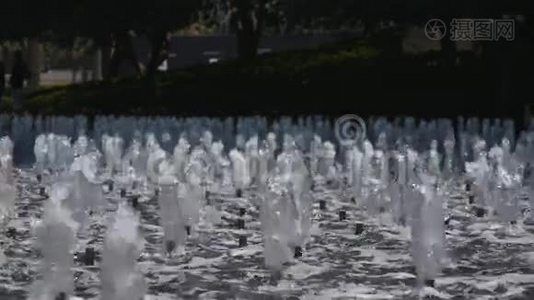 喷泉中的喷水池视频
