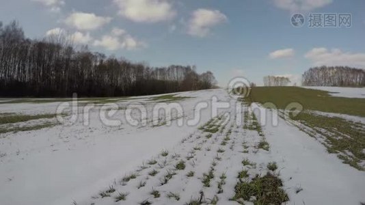 冬后早春降雪对农业麦田影响4K视频