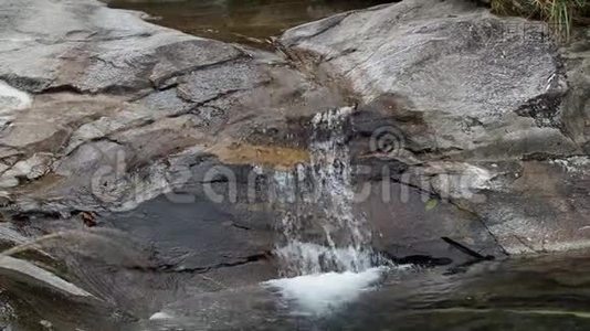 近距离观看干净的溪流流入池塘视频