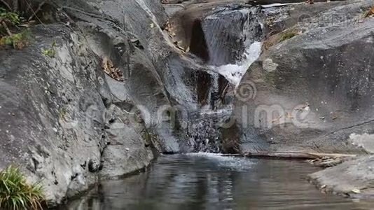 近距离观看干净的溪流流入池塘视频