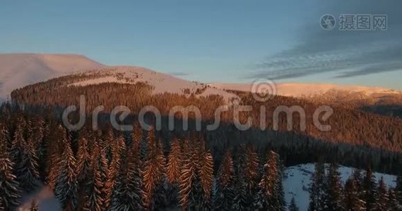 雪山针叶林美景鸟瞰..视频