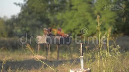 天然木火为BBQ，曼格尔火为室外。 曼格尔火，自然壁炉，不错的高清真火。 奄奄一息的灰烬在火焰中燃烧视频