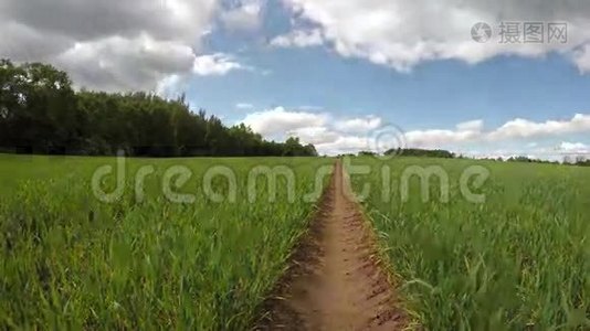 农田有绿色的麦芽和春云运动，时间流逝4K视频