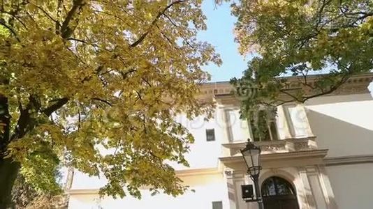 美丽的大树，老别墅前有秋黄的叶子，树上有黄叶的背景视频