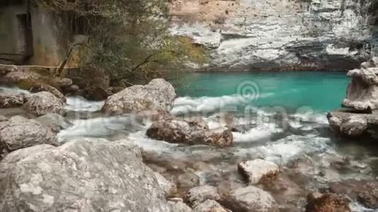 在有石头的山河中快速的水流。 来自冰川的新鲜冷水。 自然景观与树木视频