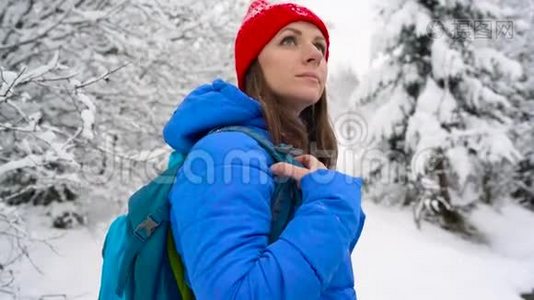 女人沿着一条小路走在美丽的冬天白雪覆盖的风景中。 晴朗晴朗的霜冻天气视频